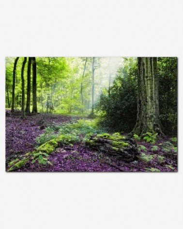 Floresta outonal - Andrea Stöckel