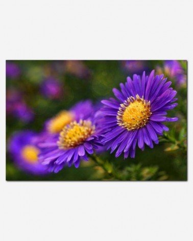 Flor lilás - Andrea Stöckel