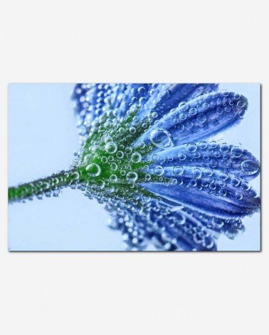 Flor em gotas azuis - Andrea Stöckel