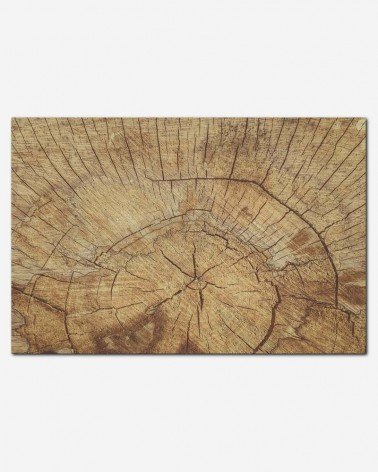 Cut Wood - Petr Kratochvil