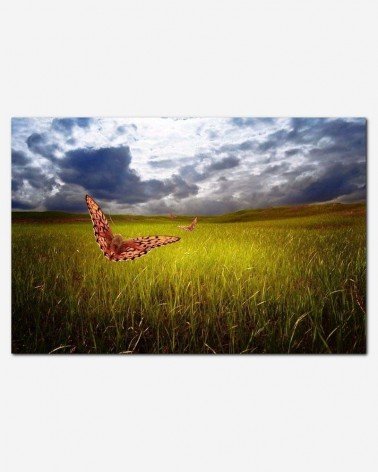 Borboletas no campo - Larisa Koshkina