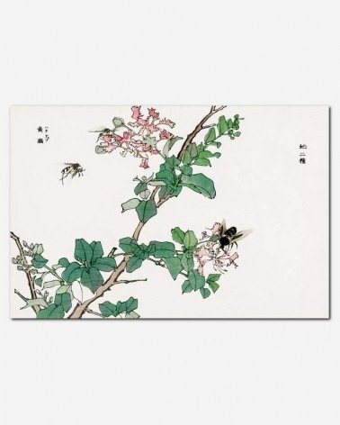 Horsefly - Morimoto Toko