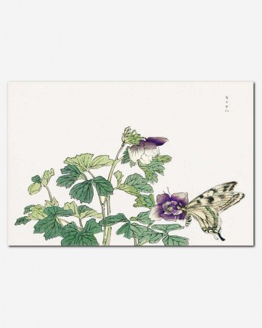 Borboleta japonesa - Morimoto Toko