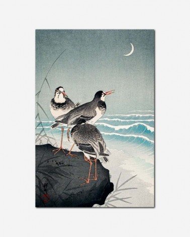 Mar ao luar  - arte japonesa - Ohara Koson