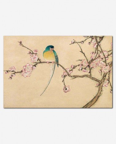 Floral - arte chinesa - Zhang Ruoai