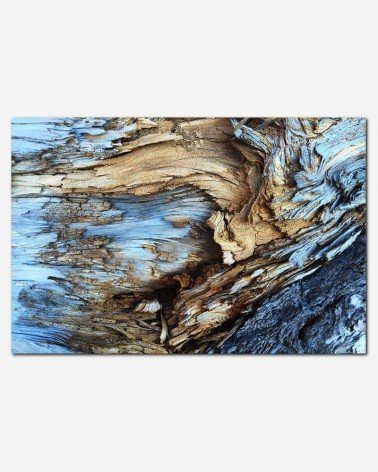 Abstrato na madeira - Bruno Lara
