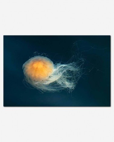 Água viva - W.Carter