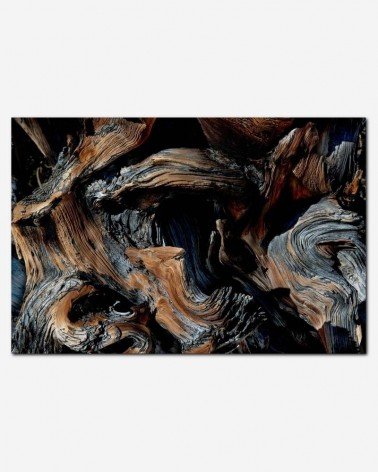 Madeiras em abstrato - Cecilio Ricardo