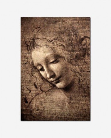 La Scapigliata - Leonardo da Vinci