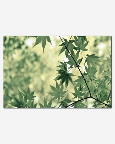 Folhagens - Leo Rivas-Micoud