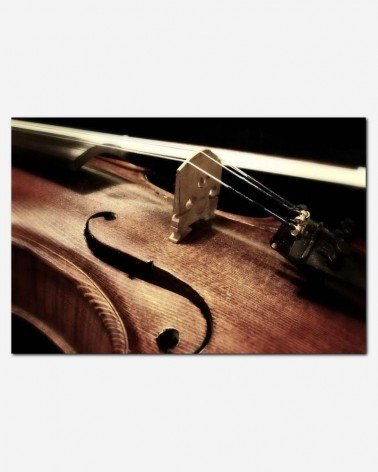 Violino