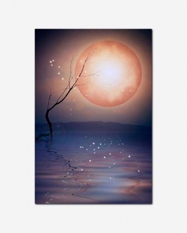 Lua Mágica - Larisa Koshkina