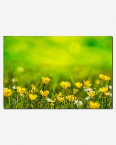 Flores silvestres - George Hodan