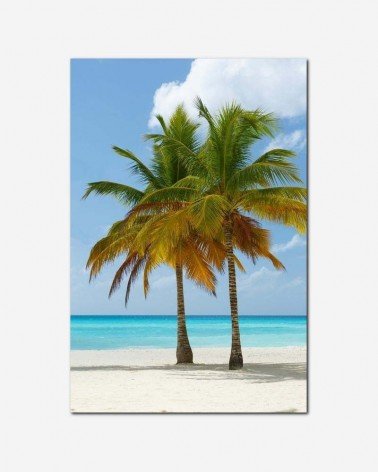 Palmeiras na praia - Petr Kratochvil