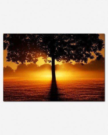 Amanhecer na natureza - Andrea Stöckel