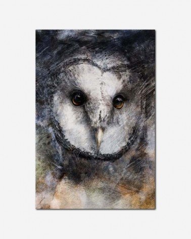 Mistério da coruja - Andrea Stöckel