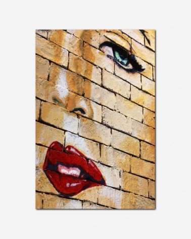 Mulher na parede de tijolos - Ian L