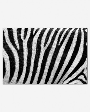 Textura de zebra - Petr Kratochvil