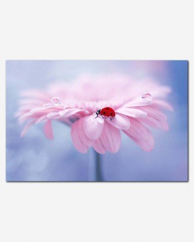 Joaninha na flor - Elena Andreeva