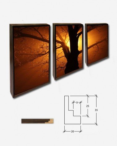 Trio Árvore noturna - Petr Kratochvil