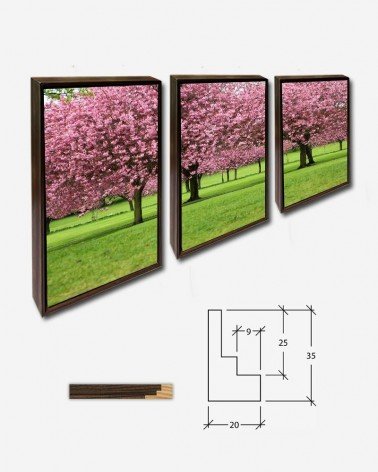 Trio Cerejeiras em flor - Petr Kratochvil