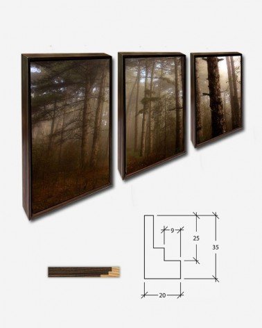 Trio Árvores na neblina - Giovanni Neri