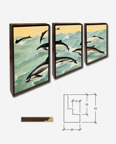 Trio Golfinhos - Kennet Hultman