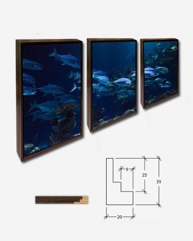 Trio Peixe subaquático - Petr Kratochvil