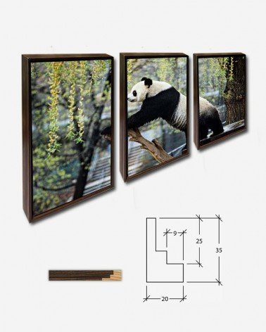 Trio Panda Gigante - Jessie Cohen