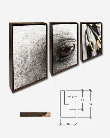 Trio Olho animal - Lance Cheung