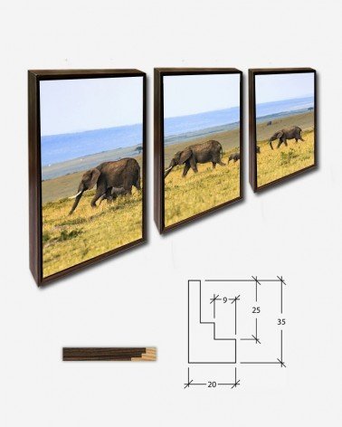 Trio Família de elefantes - Larry Li