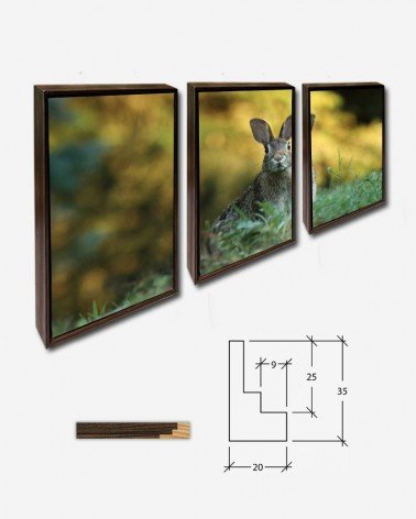 Trio Lebre selvagem - Gary Bendig