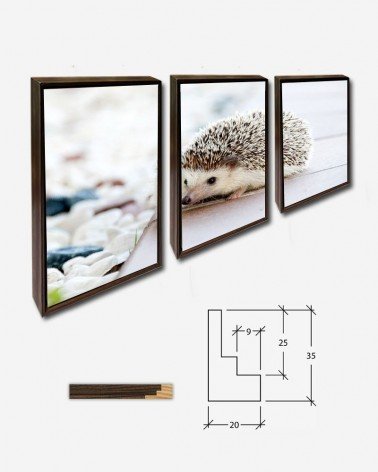 Trio Ouriço doméstico - Amaya Eguizábal