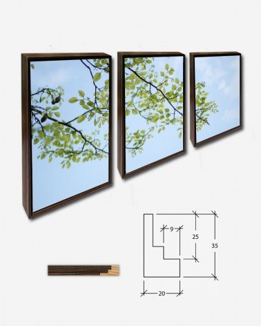 Trio Folhas nos galhos - Ravi Roshan