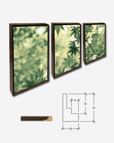 Trio Folhagens - Leo Rivas-Micoud