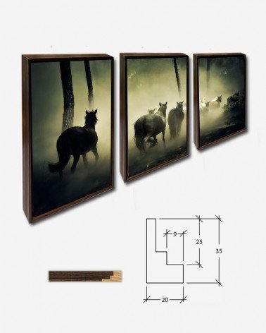 Trio Grupo de cavalos selvagens