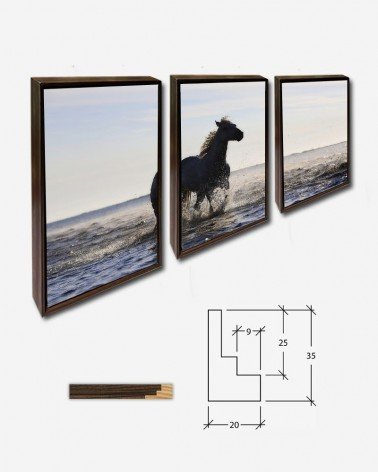 Trio Cavalo na praia