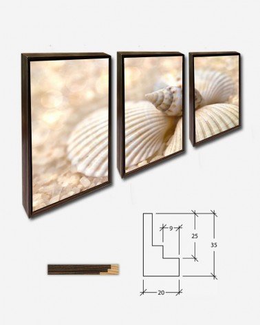 Trio Concha e caracol - Andrea Stöckel