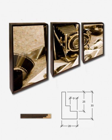 Trio Câmera antiga - George Hodan