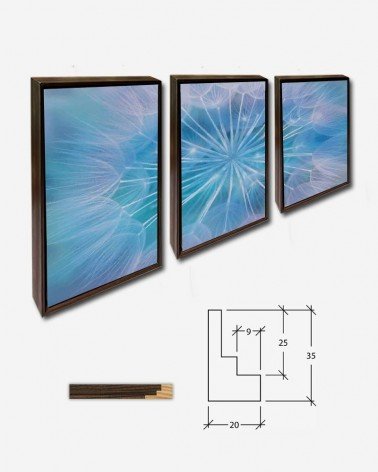 Trio Abstrato dente de leão - Andrea Stöckel