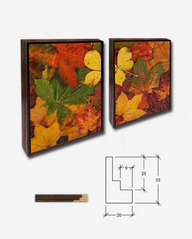 Duo Folhas de outono coloridas - Vera Kratochvil