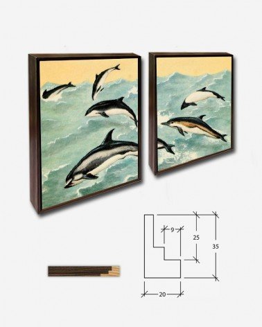 Duo Golfinhos - Kennet Hultman