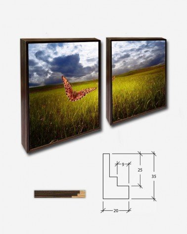 Duo Borboletas no campo - Larisa Koshkina