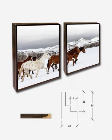 Duo Mustang selvagens - Carol Highsmith