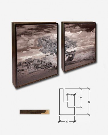 Duo Árvore no deserto - Carol Highsmith