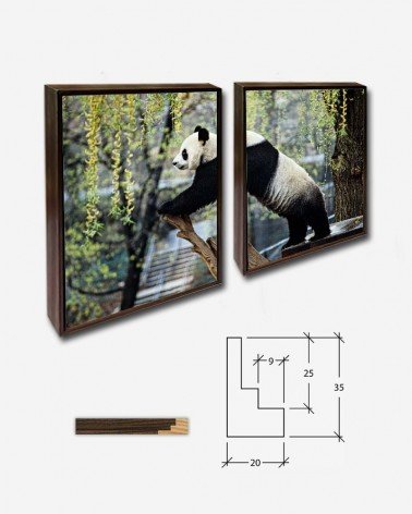 Duo Panda Gigante - Jessie Cohen