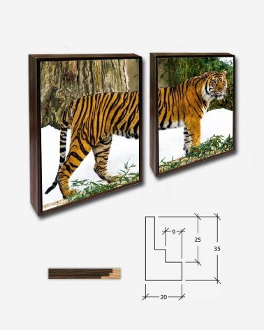 Duo Tigre na floresta - Mehgan Murphy