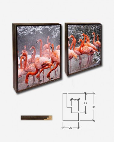 Duo Flamingos - Mehgan Murphy