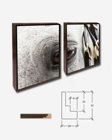 Duo Olho animal - Lance Cheung