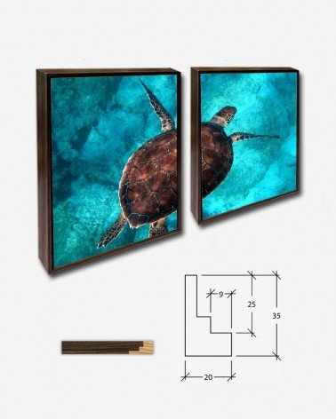 Duo Tartaruga no oceano - Randall Ruiz